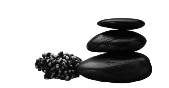 *NEW* Read our FALL 2025 Newsletter image